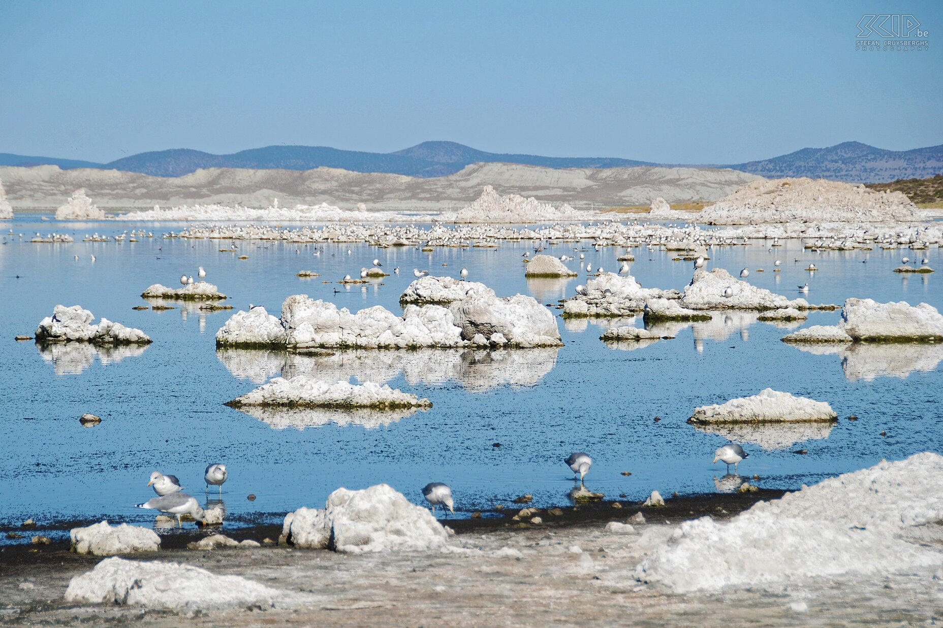 Mono Lake Mono Lake is a salt lake near Yosemite. Pillars of salt rise up from the water and they are well-attended by sea-gulls. Stefan Cruysberghs